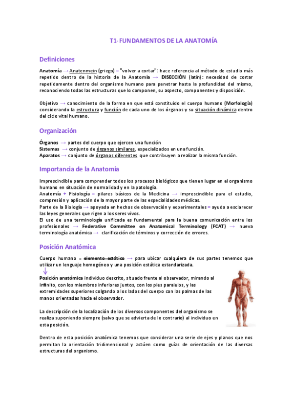 Miniatura del documento TEMA-1fundamentos-de-la-anatomia.pdf