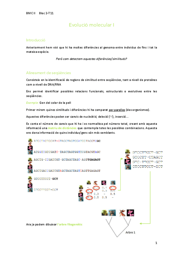 Miniatura del documento 11Evolucio.pdf