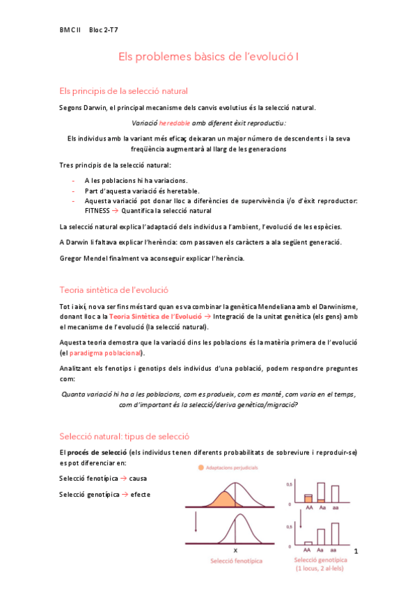 Miniatura del documento 7Evolucio.pdf