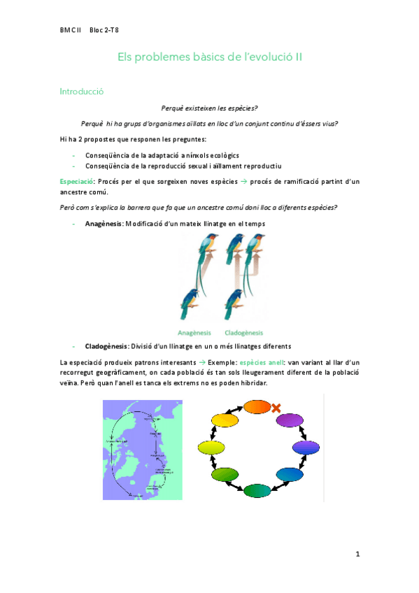 Miniatura del documento 8Evolucio.pdf