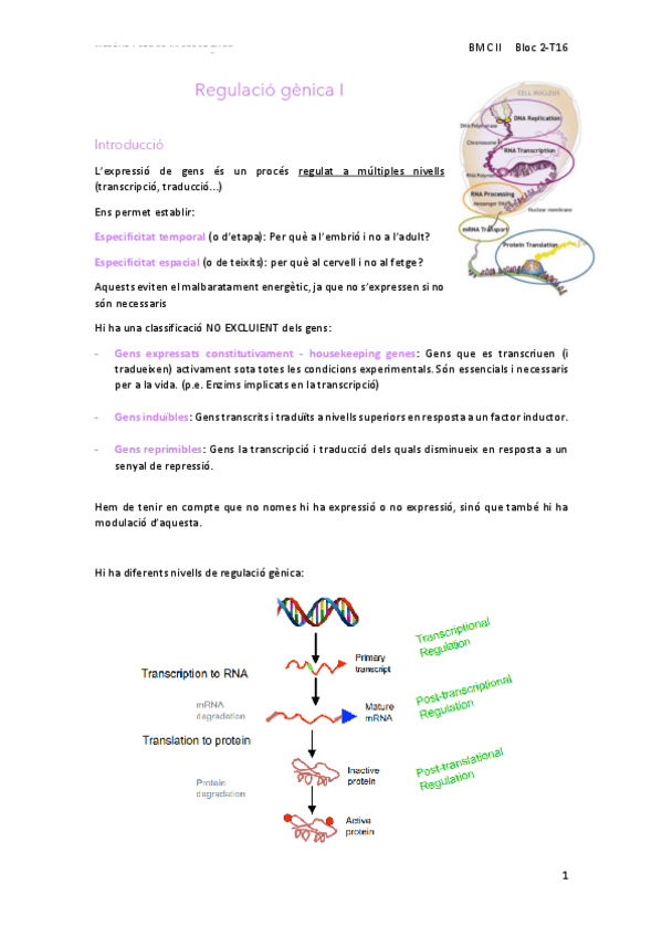 Miniatura del documento 16Regulacio-genica-I.pdf