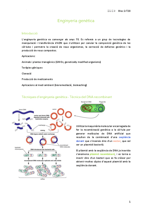 Miniatura del documento 20Enginyeria-genetica.pdf