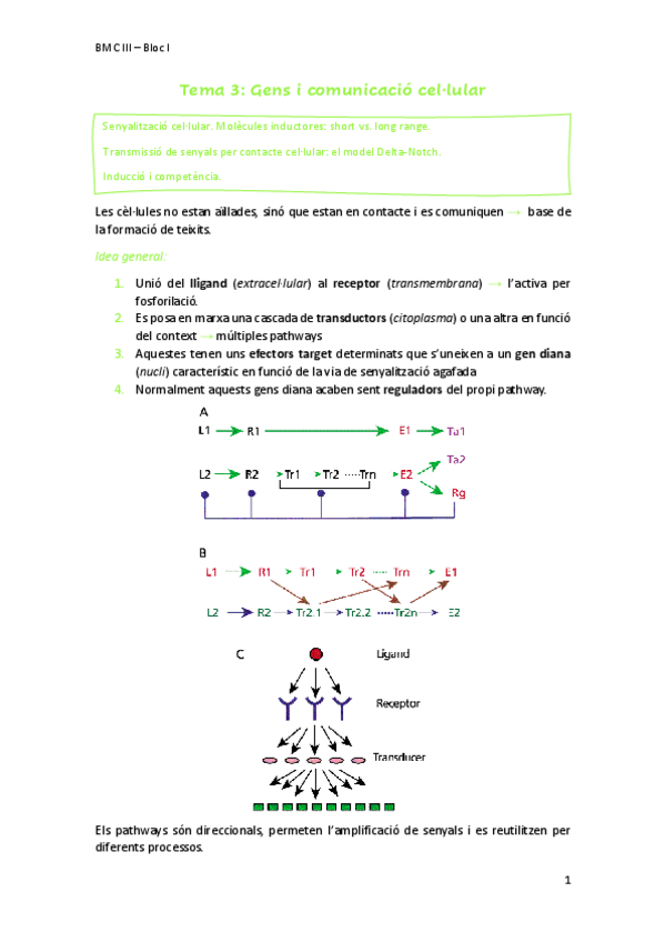 Miniatura del documento Tema3Gens-Comunicacio-cellular.pdf