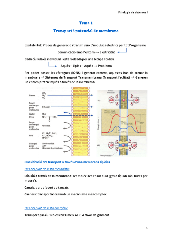 Miniatura del documento Tema-1.pdf