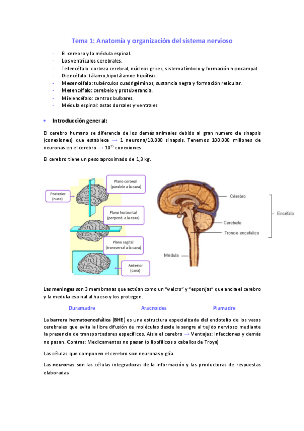 Miniatura del documento Tema-1.pdf