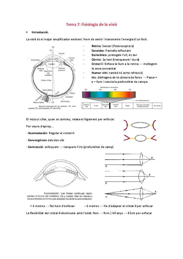 Miniatura del documento Tema-7.pdf