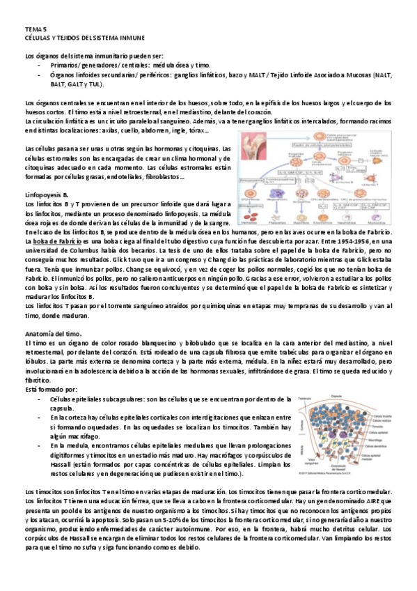 Miniatura del documento 5.pdf