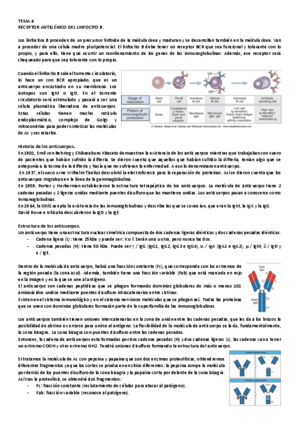 Miniatura del documento 6.pdf