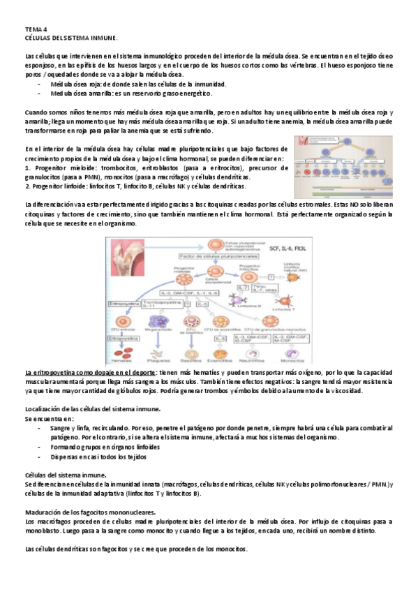 Miniatura del documento 4.pdf
