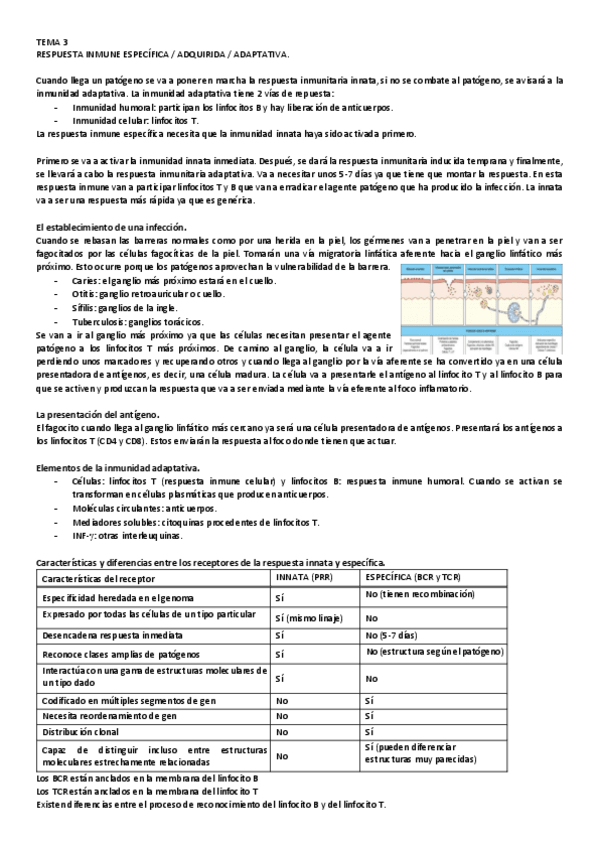 Miniatura del documento 3.pdf