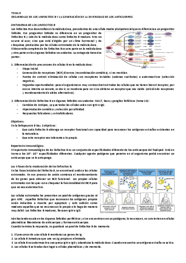 Miniatura del documento 9.pdf
