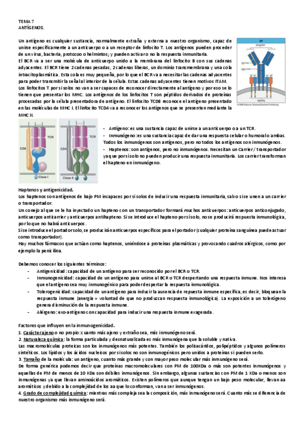 Miniatura del documento 7.pdf