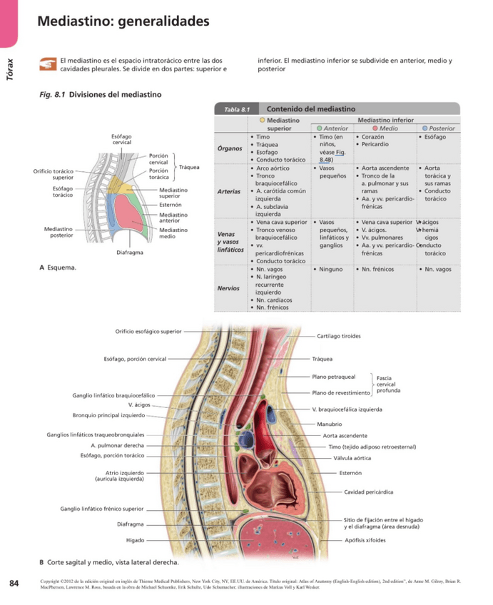 Miniatura del documento Cardio-Prometheus.pdf