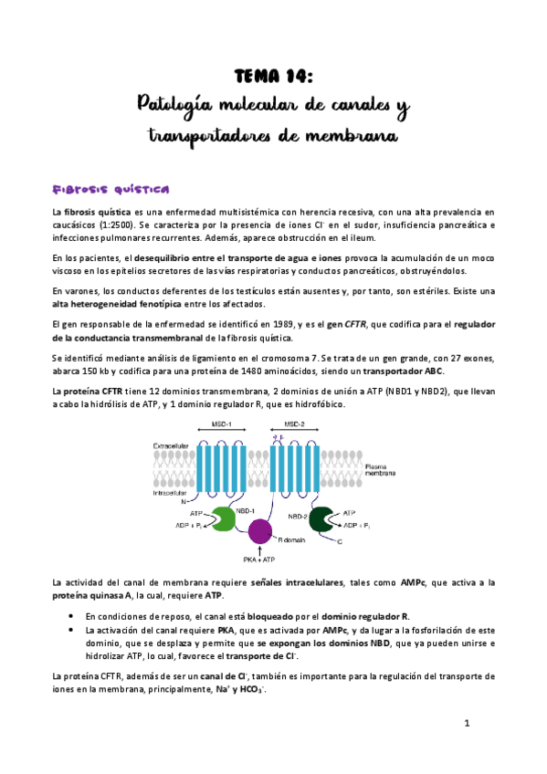 Miniatura del documento TEMA-14.pdf