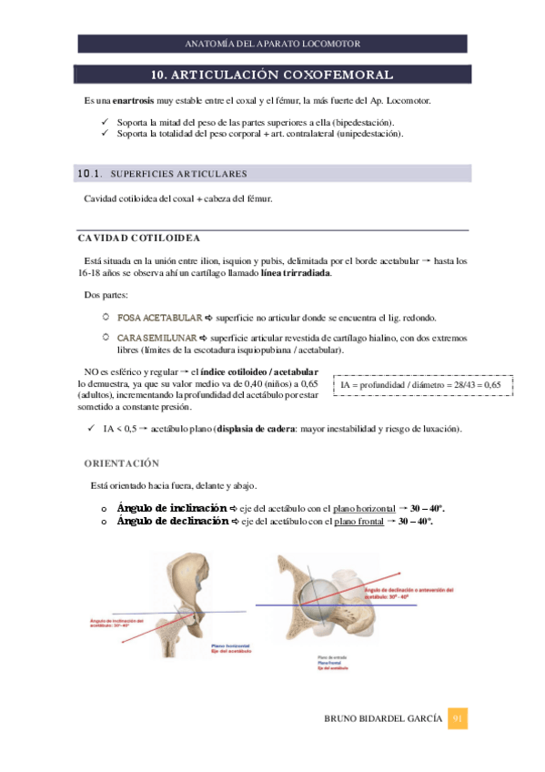 Miniatura del documento Miembro-inferior.pdf