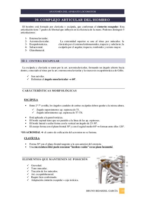 Miniatura del documento Miembro-superior-y-ATM.pdf
