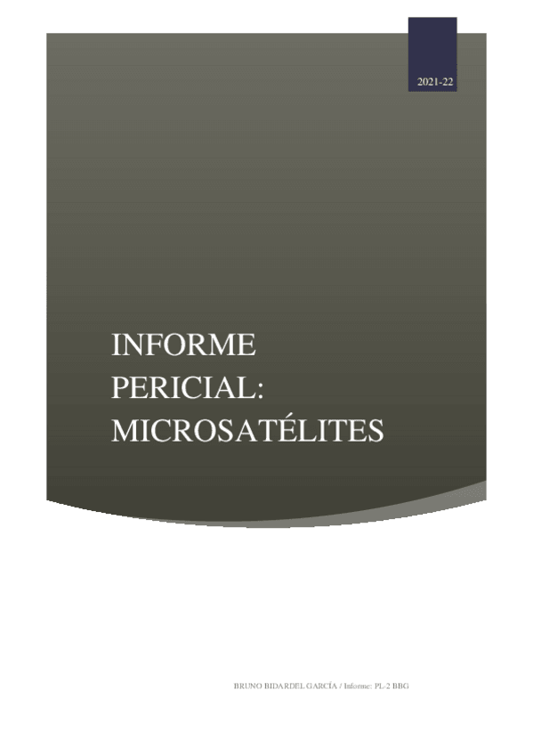 Miniatura del documento Informe-pericial.pdf