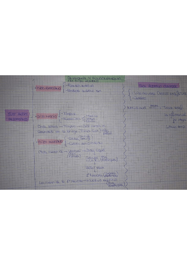 Miniatura del documento Funcionamiento-oido-.pdf