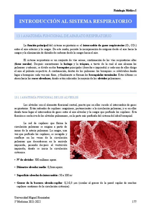 Miniatura del documento T.pdf