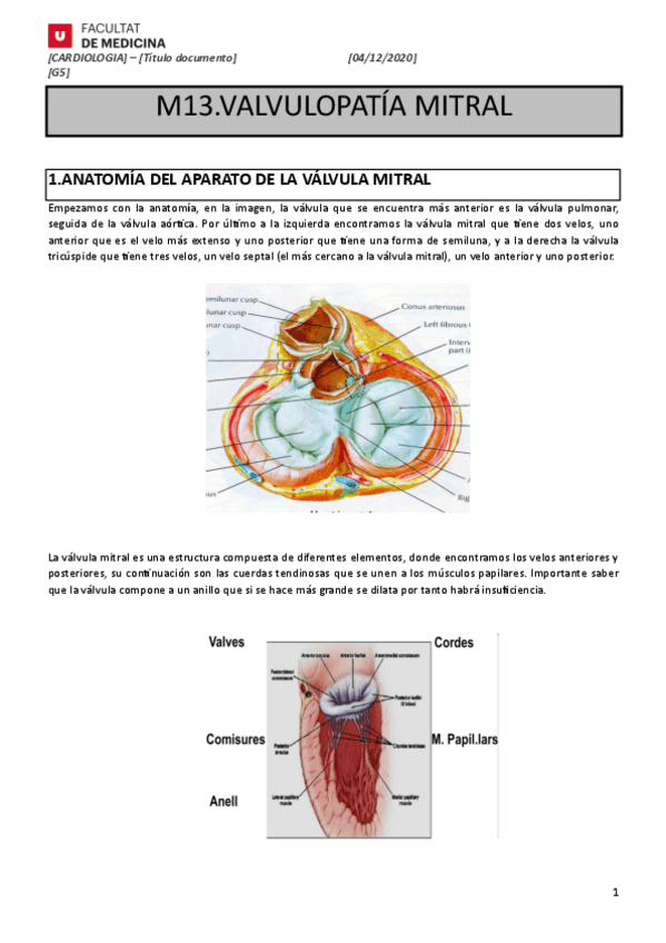 Miniatura del documento M13.pdf
