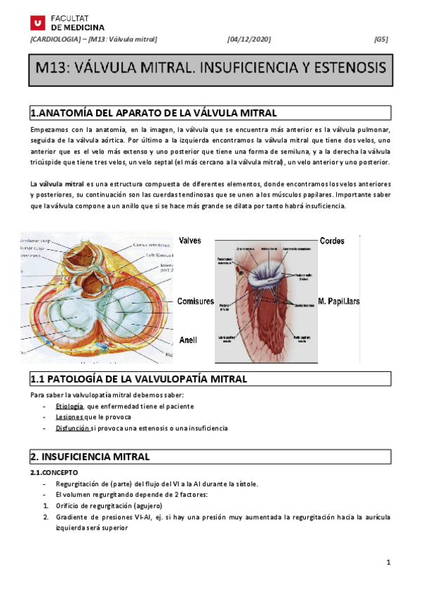 Miniatura del documento M13.pdf