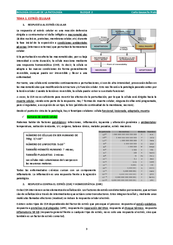 Miniatura del documento BIOPATO BLOQUE 2.pdf