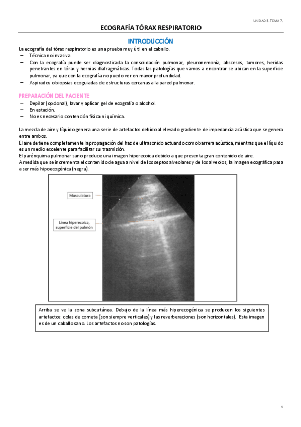 Miniatura del documento UD3.pdf