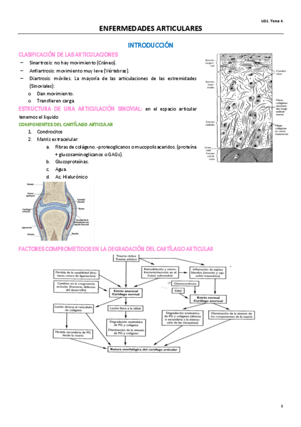 Miniatura del documento UD1.pdf
