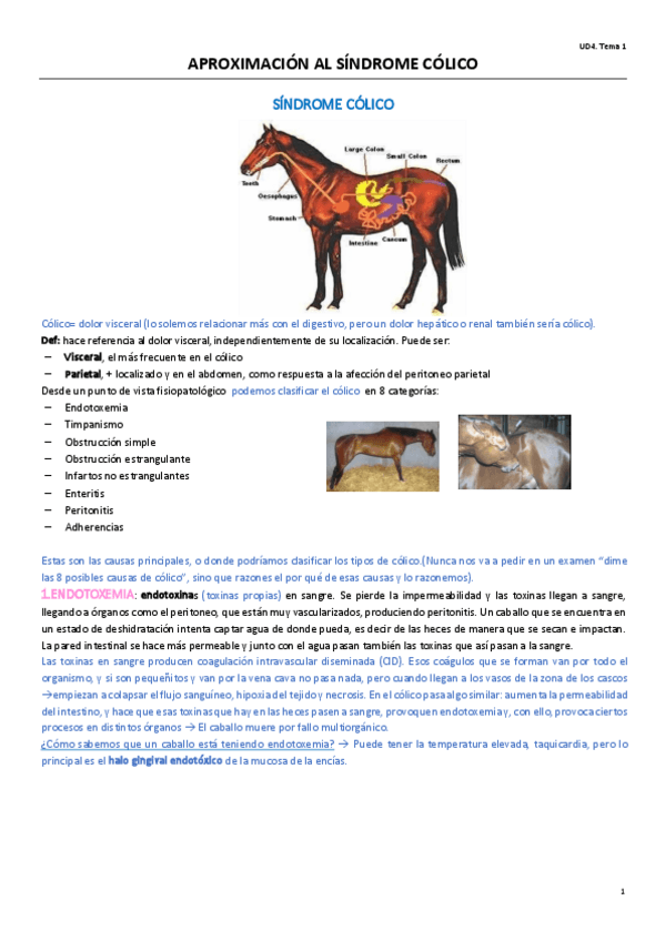 Miniatura del documento UD4T1.pdf