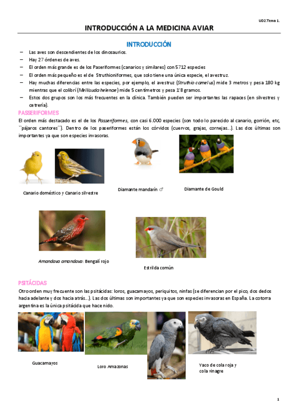 Miniatura del documento UD2T1EXOTICOS.pdf