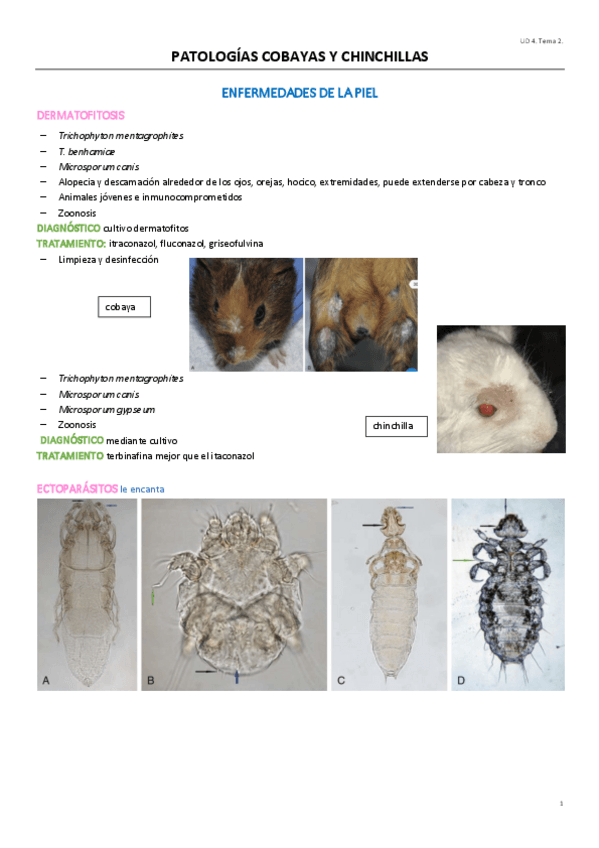 Miniatura del documento UD4T2.pdf