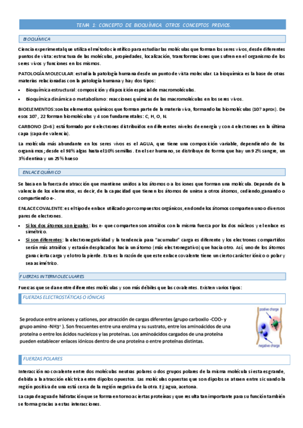 Miniatura del documento TEMA-1-CONCEPTO-DE-BIOQUIMICA-Y-DISOLUCIONES.pdf