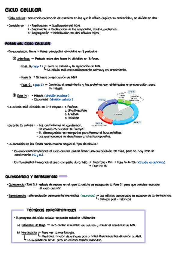 Miniatura del documento T14.pdf