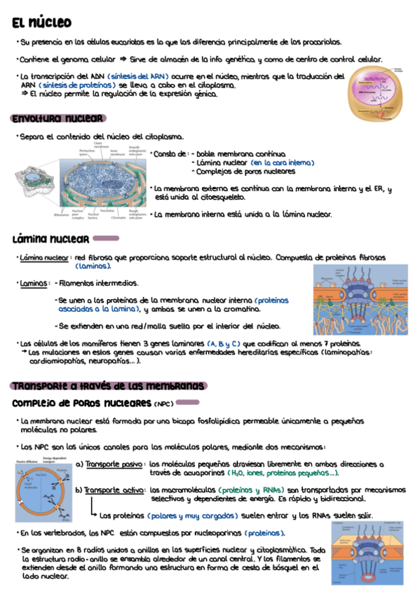 Miniatura del documento T13.pdf