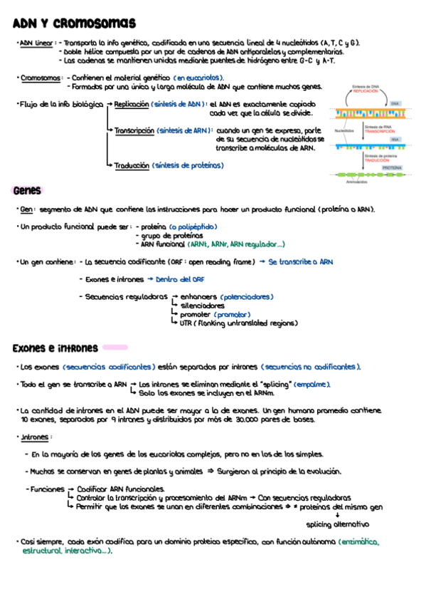 Miniatura del documento T15.pdf