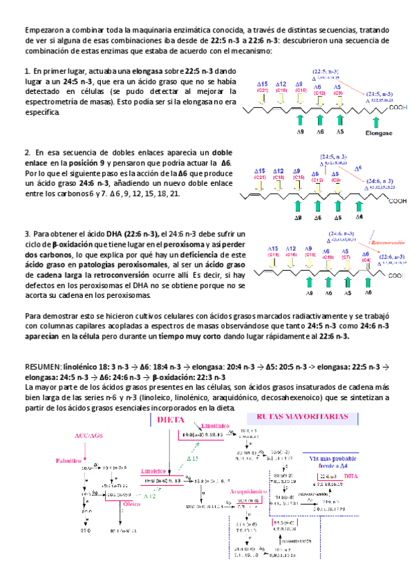 Miniatura del documento T-20-bq-11.pdf