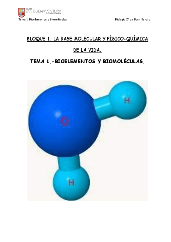 Miniatura del documento BIOELEMENTOS-Y-BIOMOLECULAS.pdf