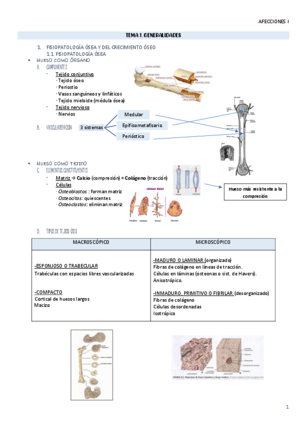 Miniatura del documento TEMA-1-AMQ.pdf