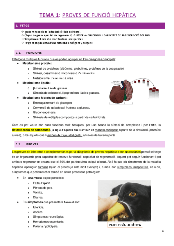 Miniatura del documento BP.pdf