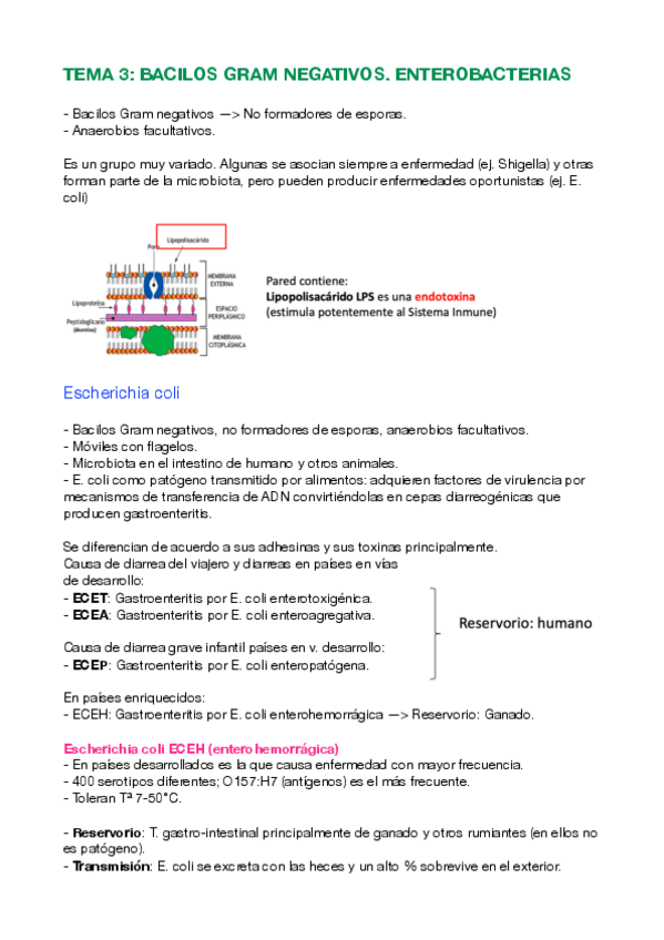 Miniatura del documento Tema-3.pdf