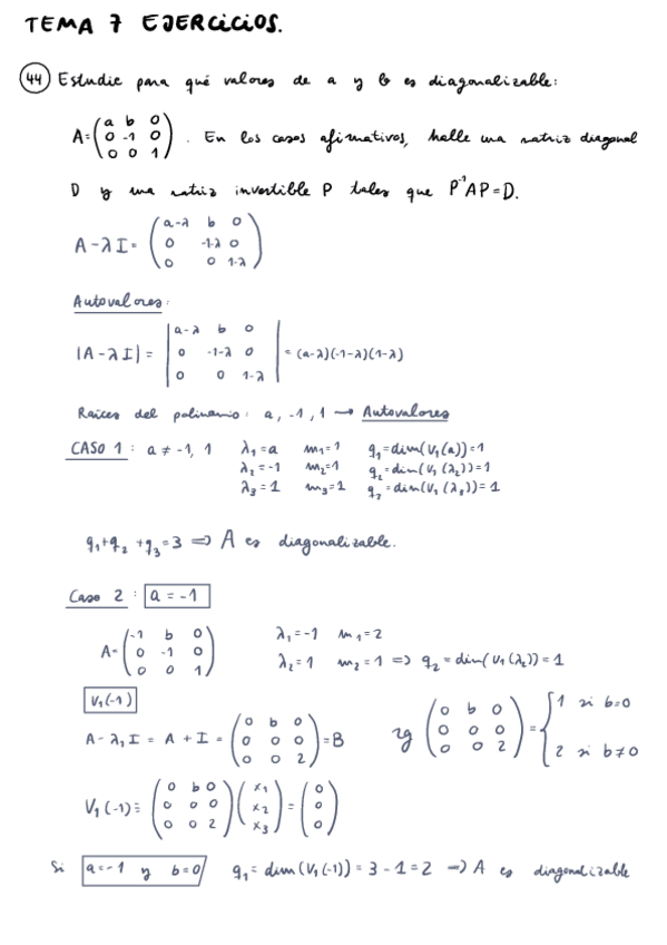 Miniatura del documento Ejercicios-De-Diagonalizacion.pdf