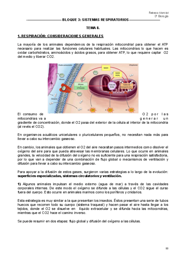 Miniatura del documento Fisiologia-Animal-T8-T10-copia.pdf