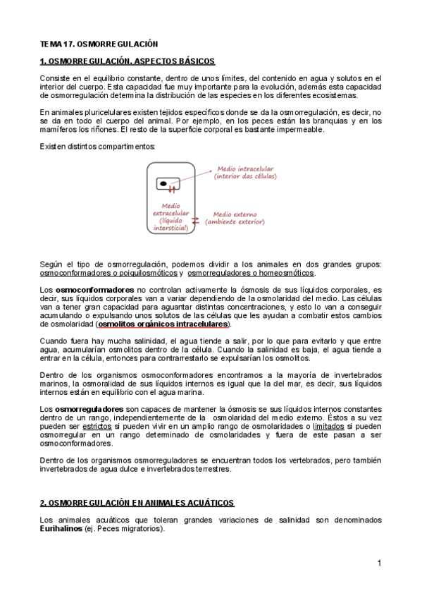 Miniatura del documento Fisiologia-Animal-T17-T20-copia.pdf