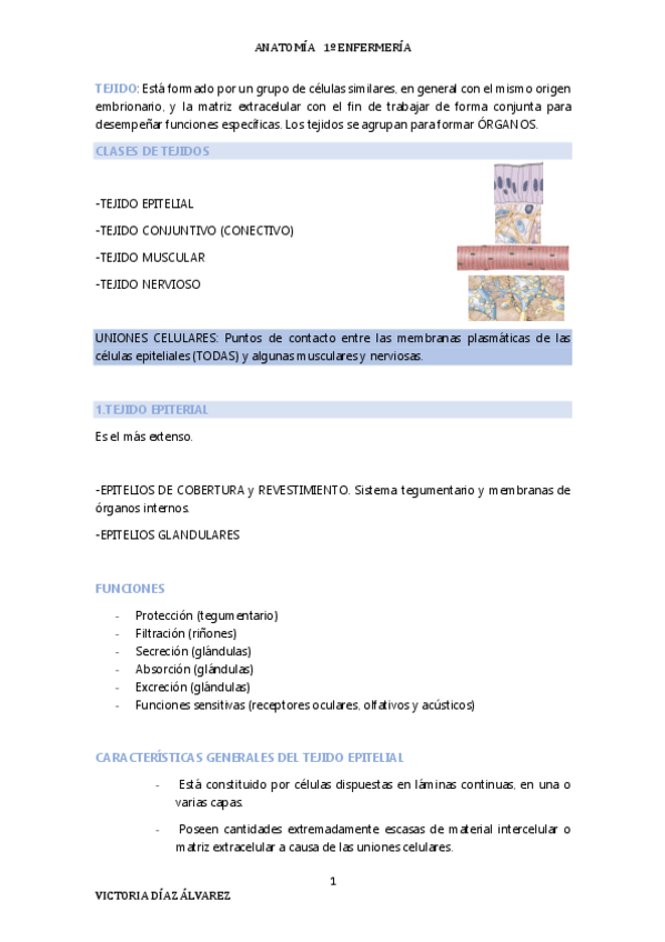 Miniatura del documento Apuntes-anatomia-T.pdf