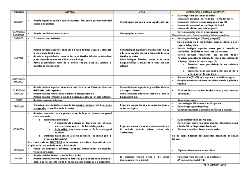Miniatura del documento Taula-resum-vascularitzacio-i-innervacio.pdf