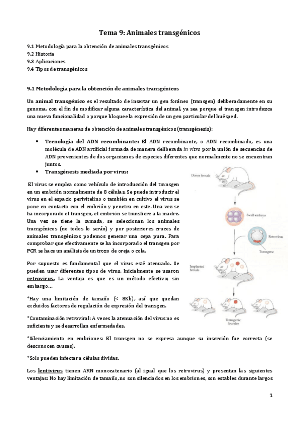 Miniatura del documento Tema 9.pdf
