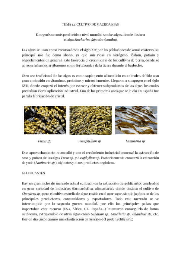 Miniatura del documento ACUI.pdf