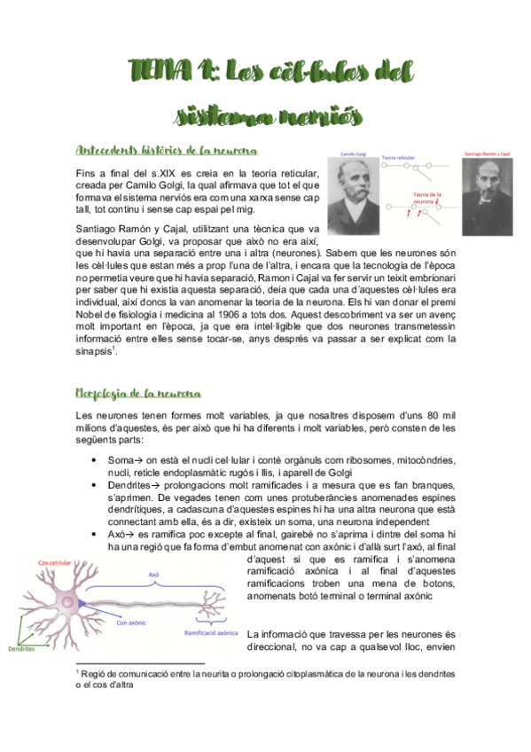 Miniatura del documento Psicobiologia-I-TOTA-LA-TEORIA.pdf