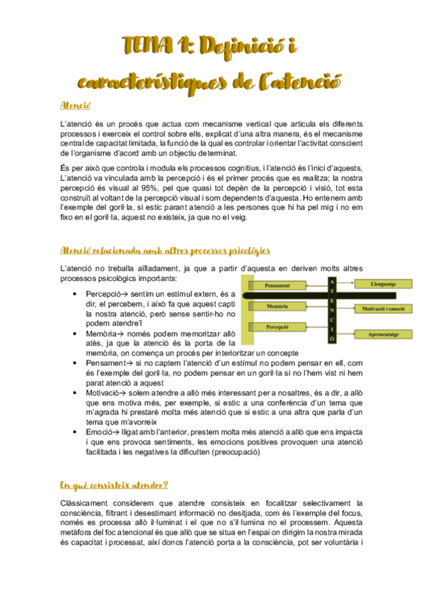 Miniatura del documento Processos-psicologis-ATENCIO.pdf