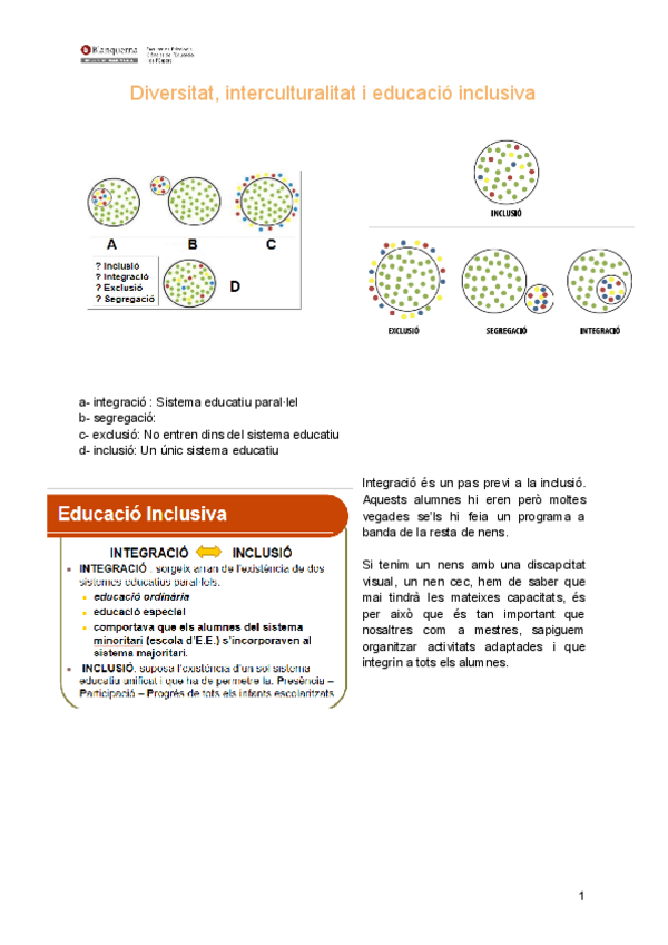 Miniatura del documento Diversitat-interculturalitat-i-educacio-inclusiva.pdf